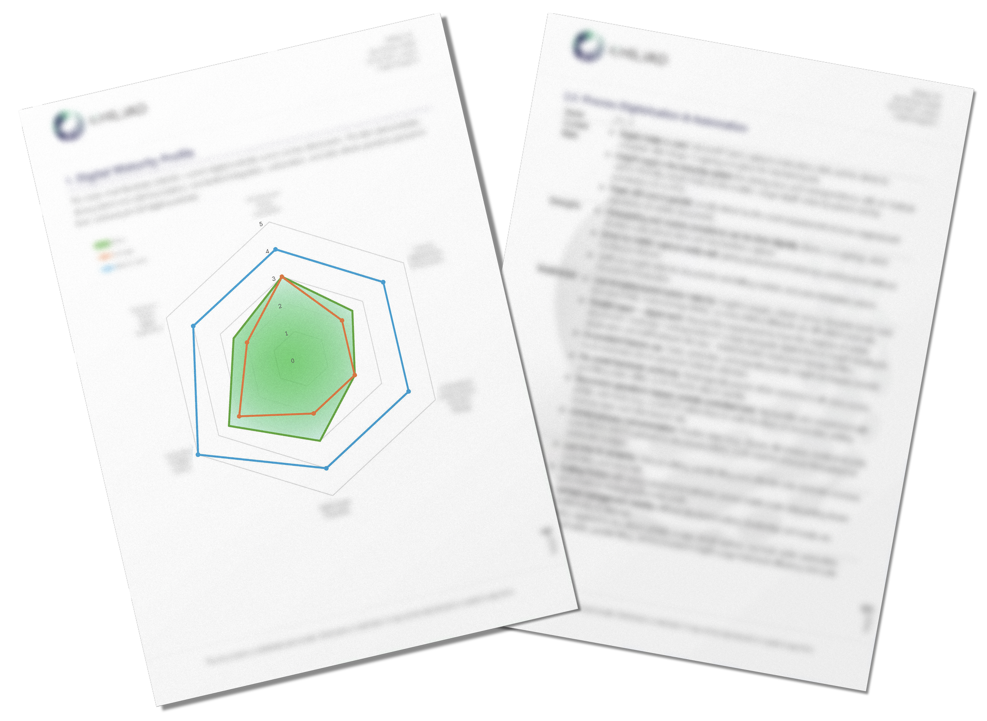 Example of the assessment report