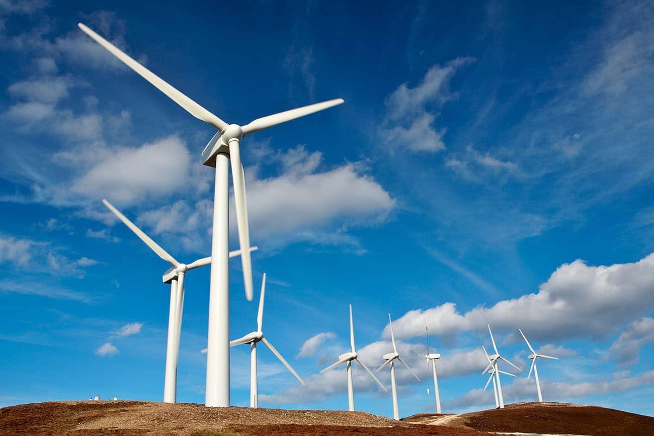Windfarm